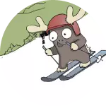 Narty Zjazdowe