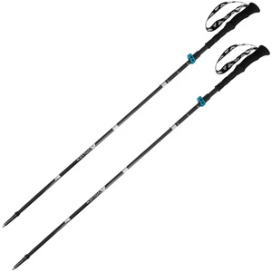Kije EXPERT CARBON