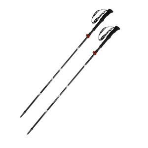 Kije EXPERT CARBON